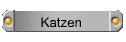 Katzen